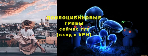 прущие крисы Абаза