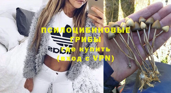 прущие крисы Абаза
