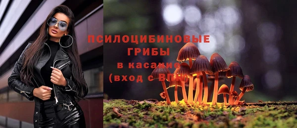 ешки Снежинск